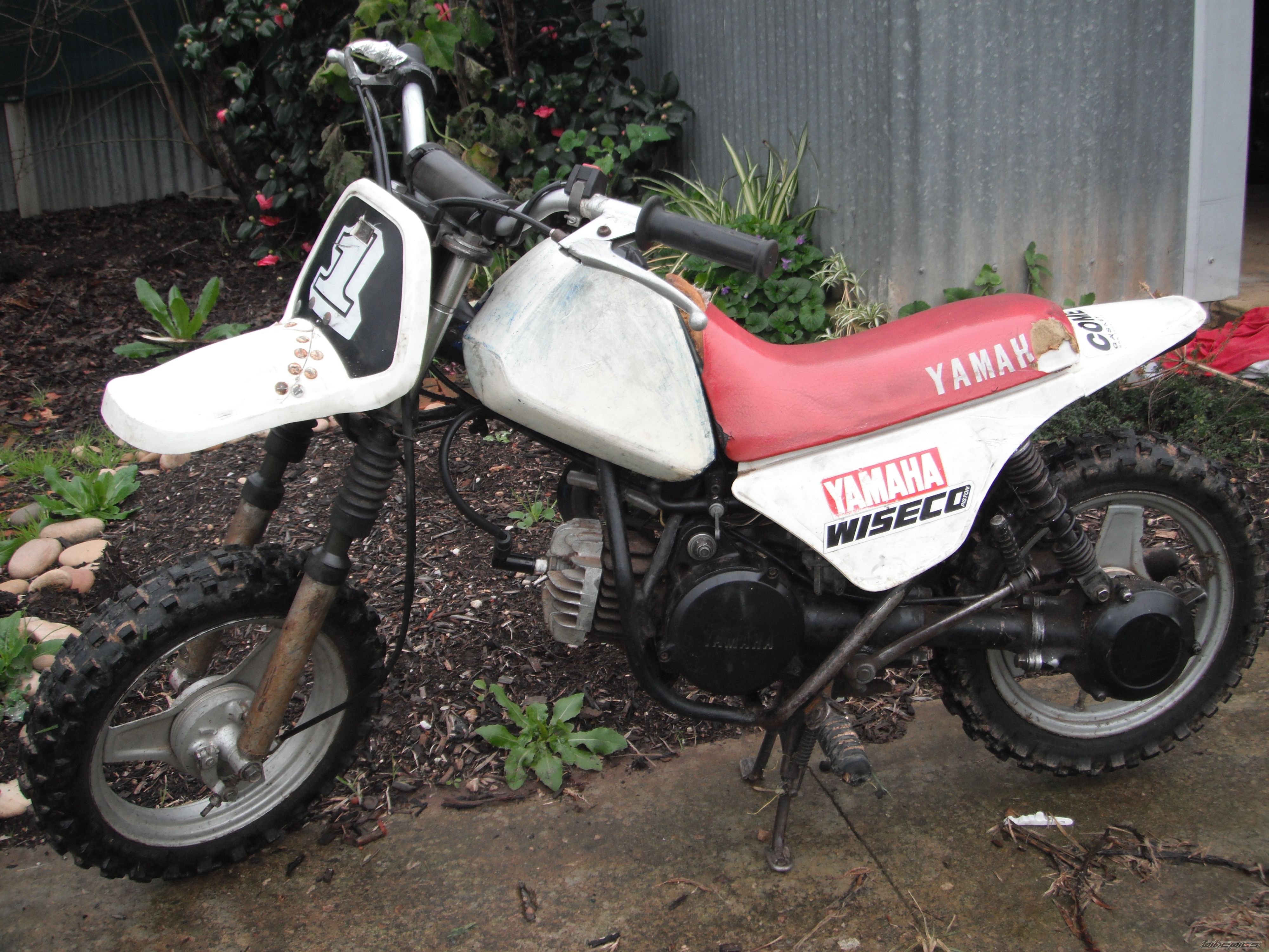 Photo 2463772