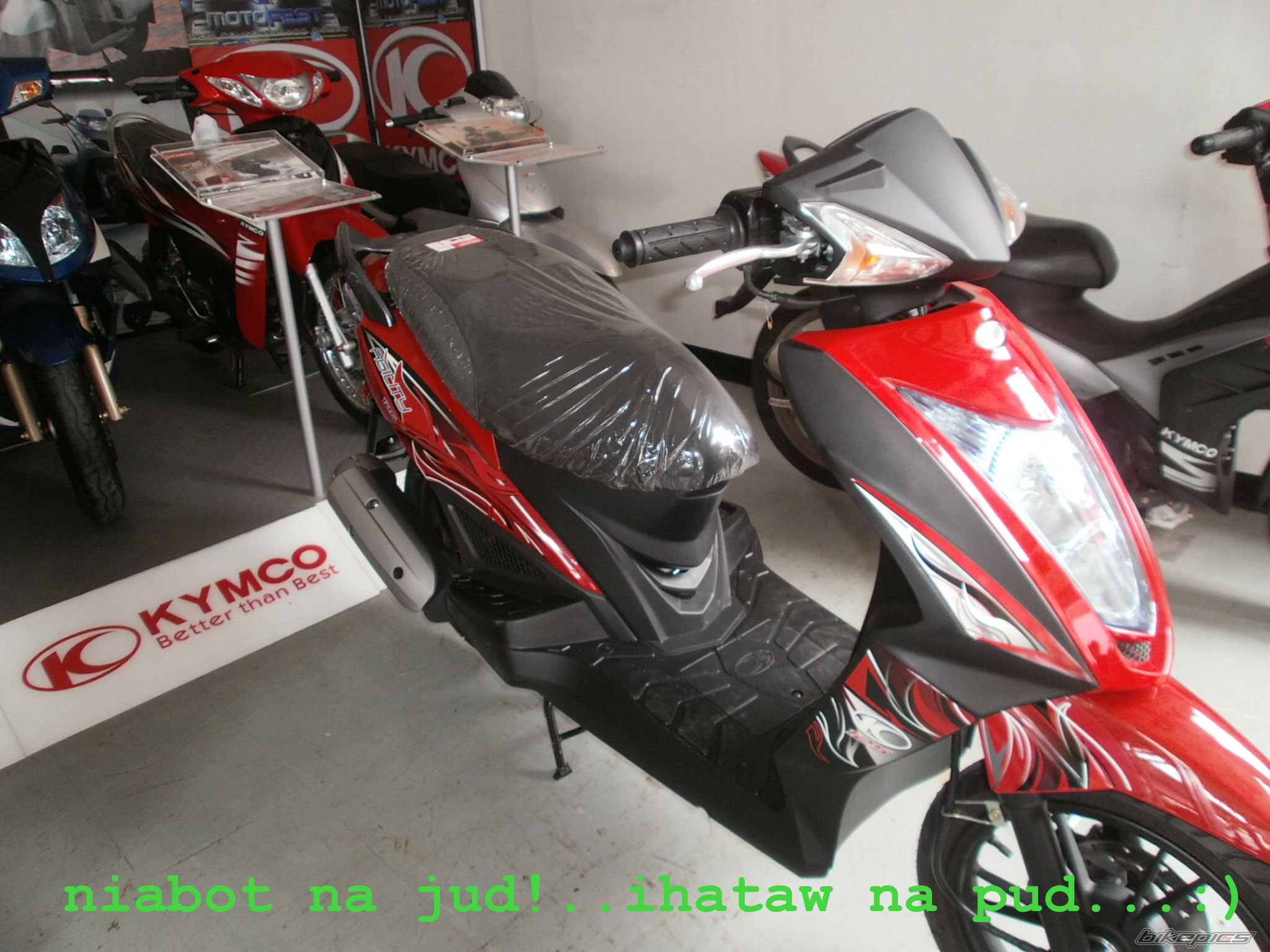 Photo 2463774