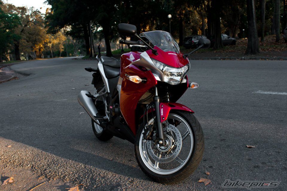 Photo 2463788