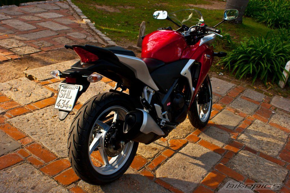 Photo 2463789