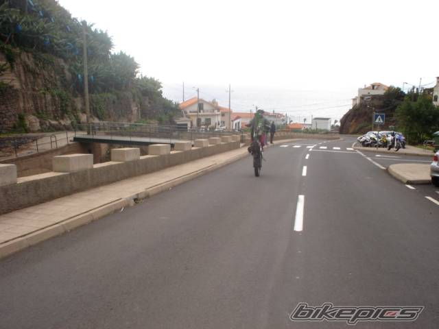 Photo 246379