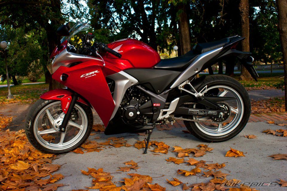 Photo 2463791