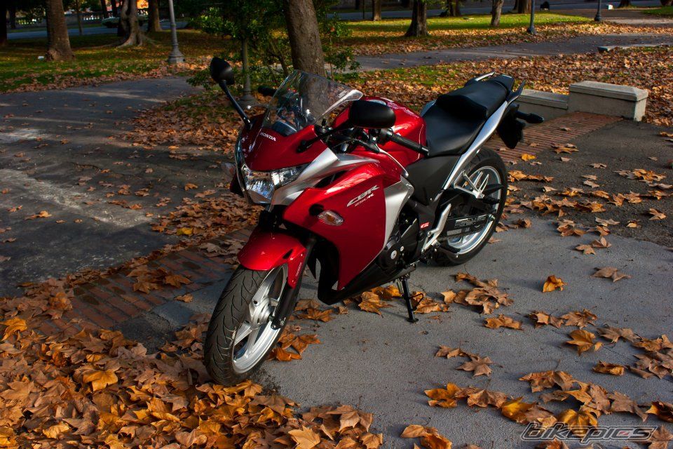 Photo 2463793