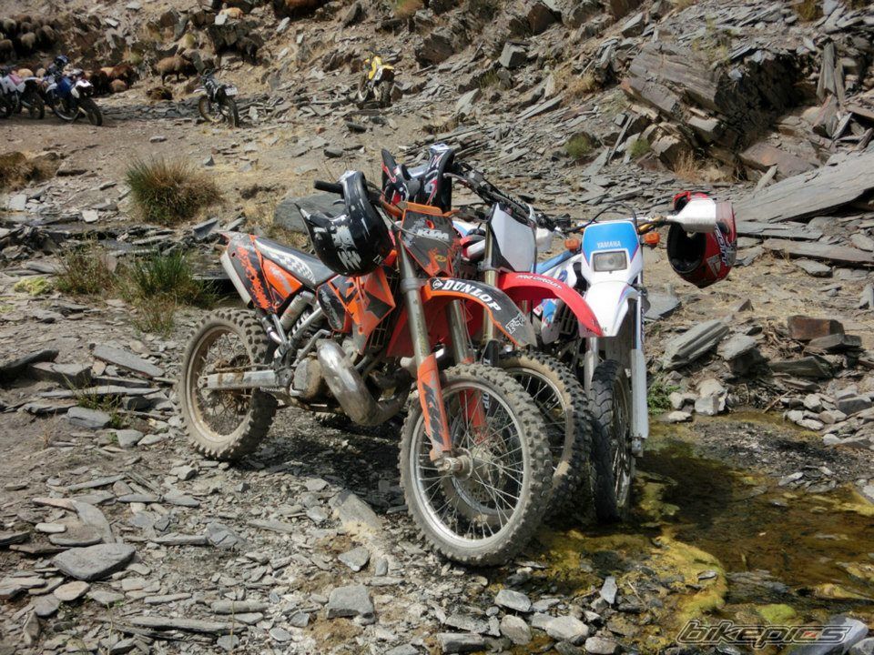 Photo 2463849