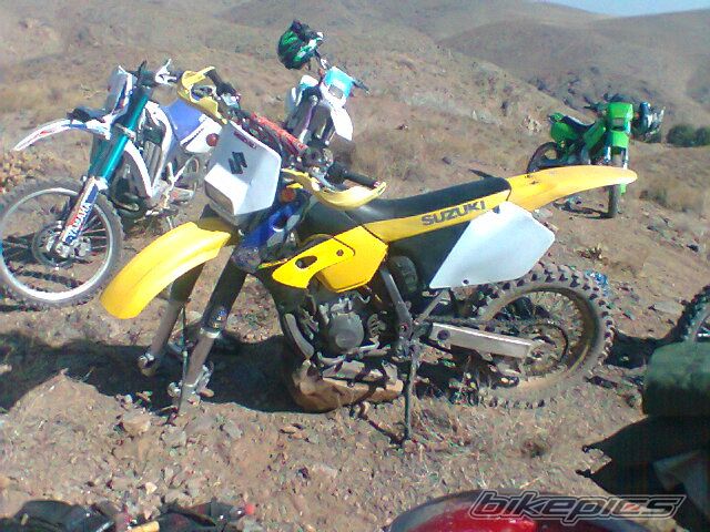 Photo 2463852