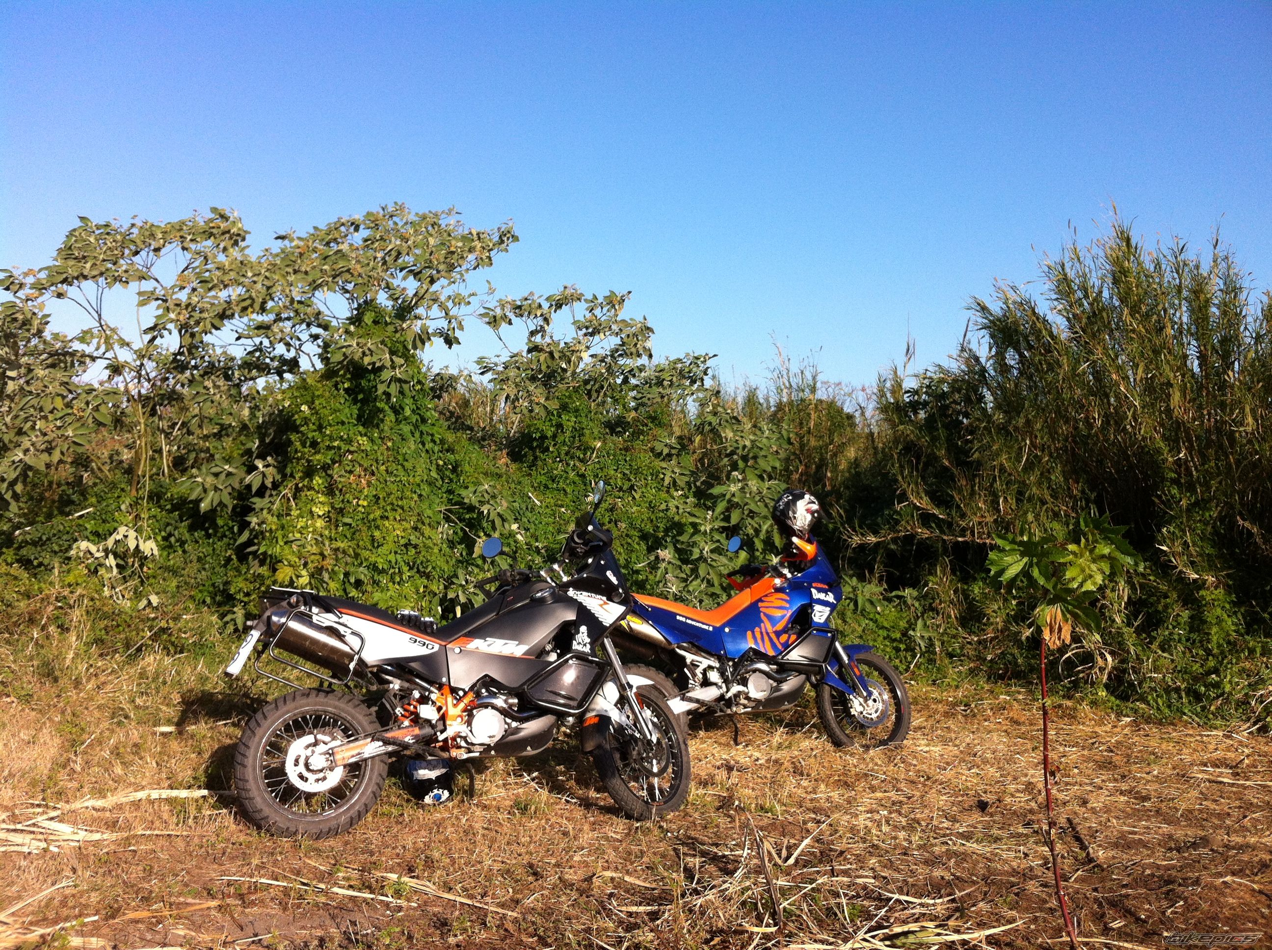 Photo 2463881