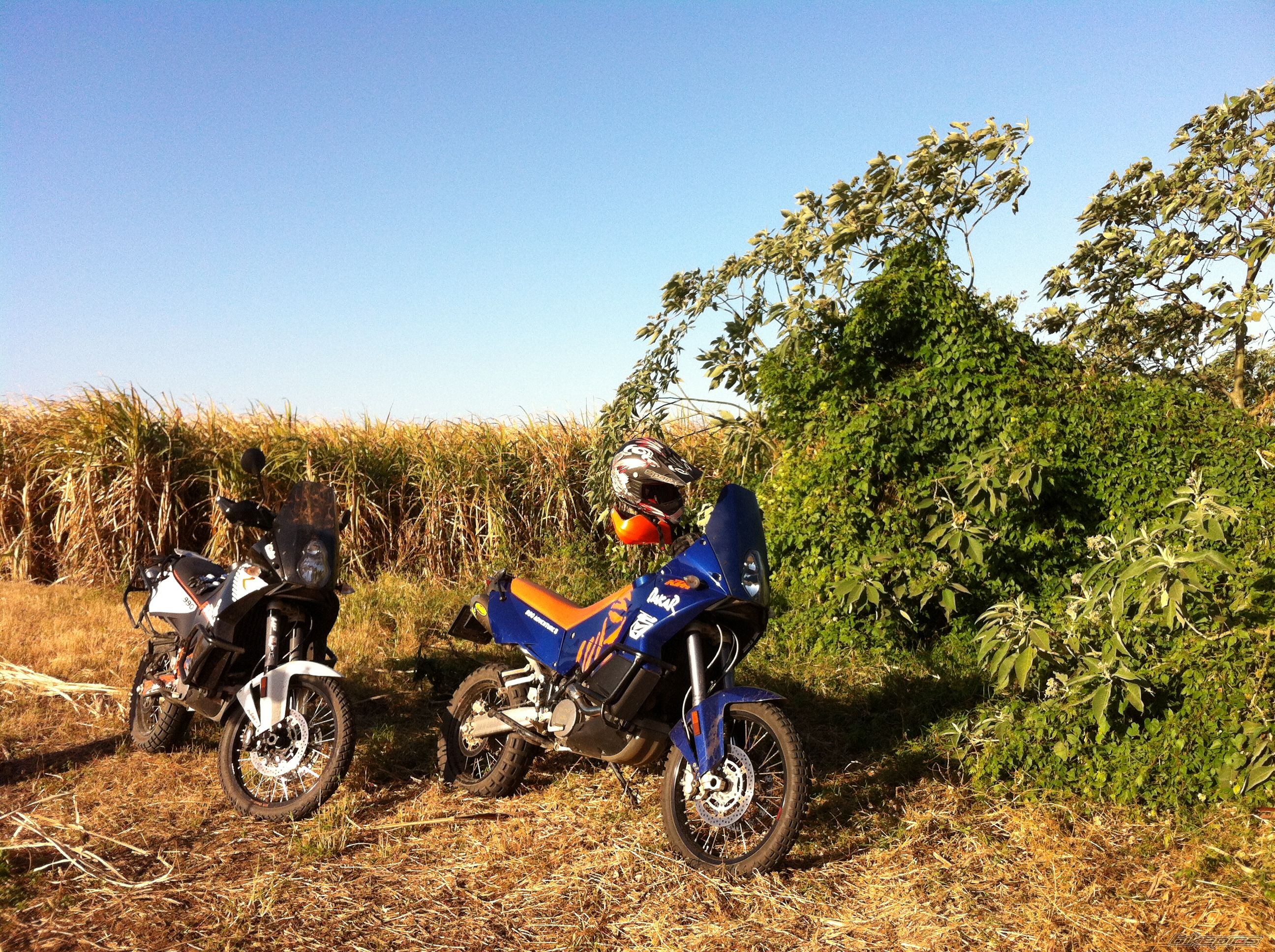 Photo 2463882
