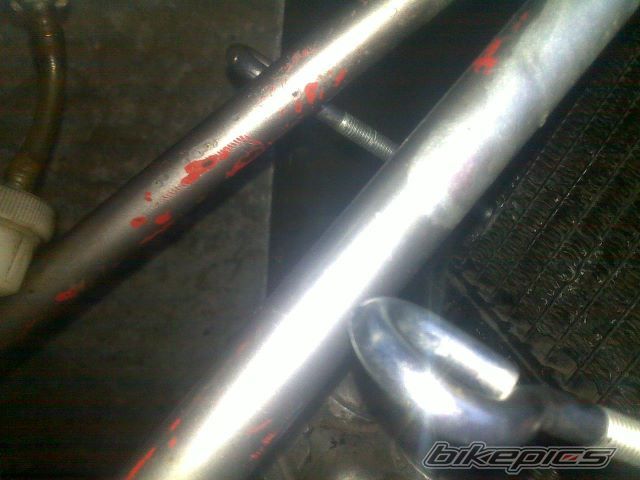 Photo 2463937