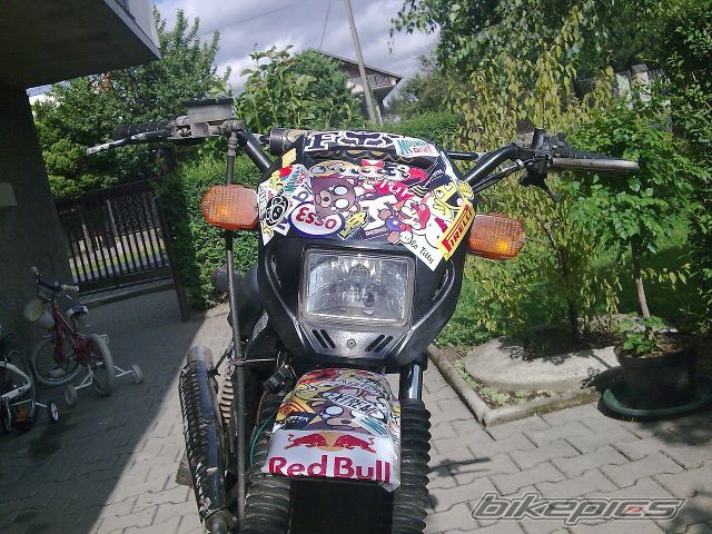Photo 2463948