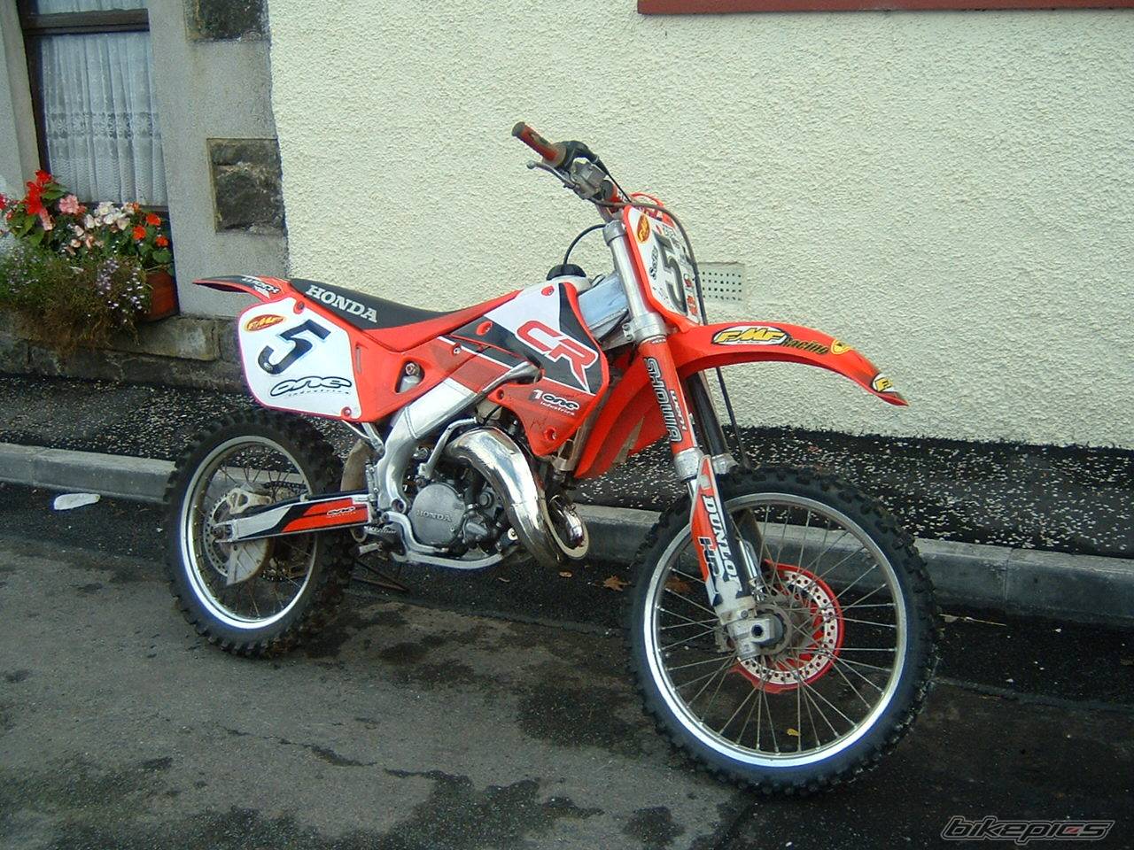 Photo 246395