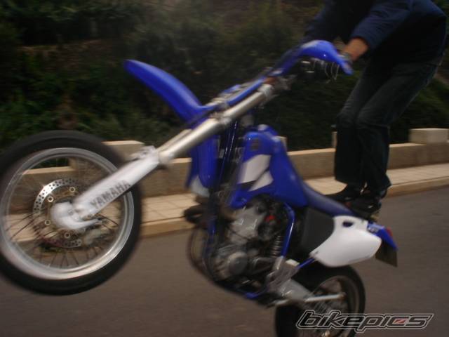 Photo 246397