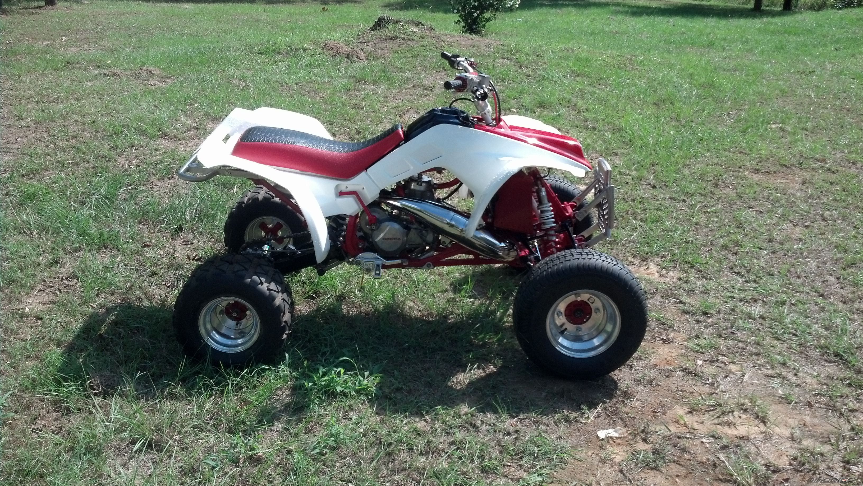 Photo 2463984