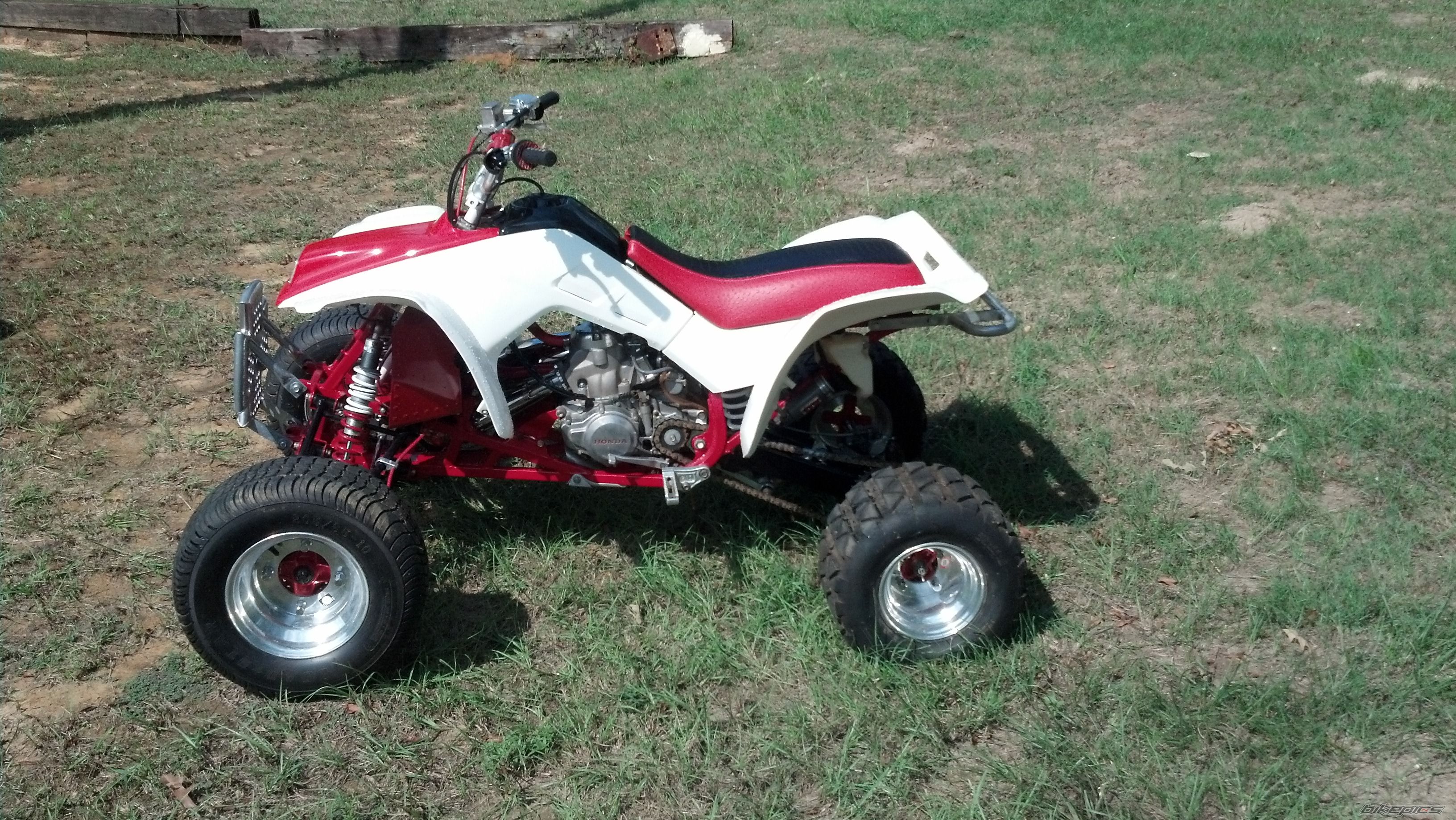 Photo 2463986