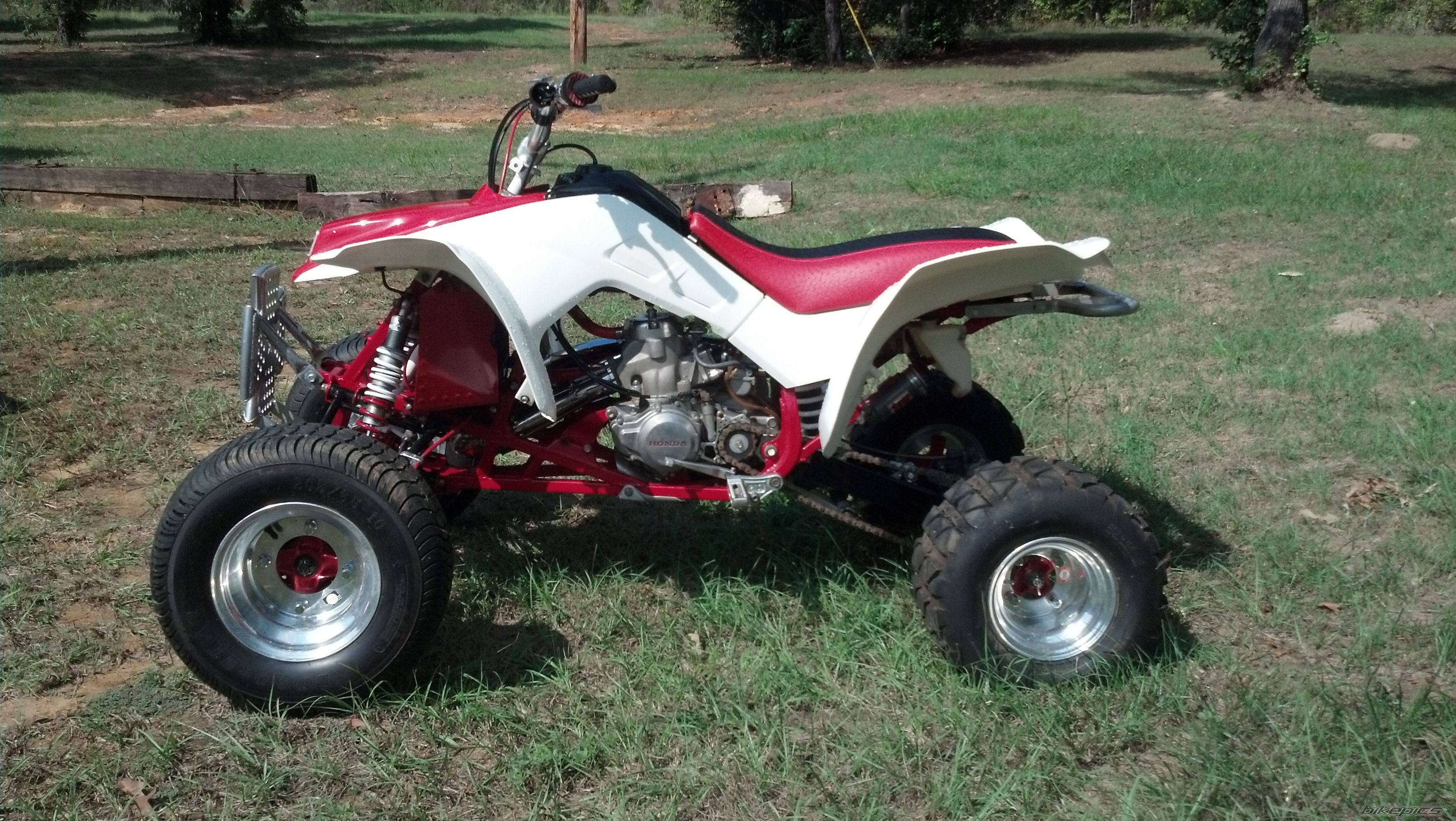 Photo 2463987