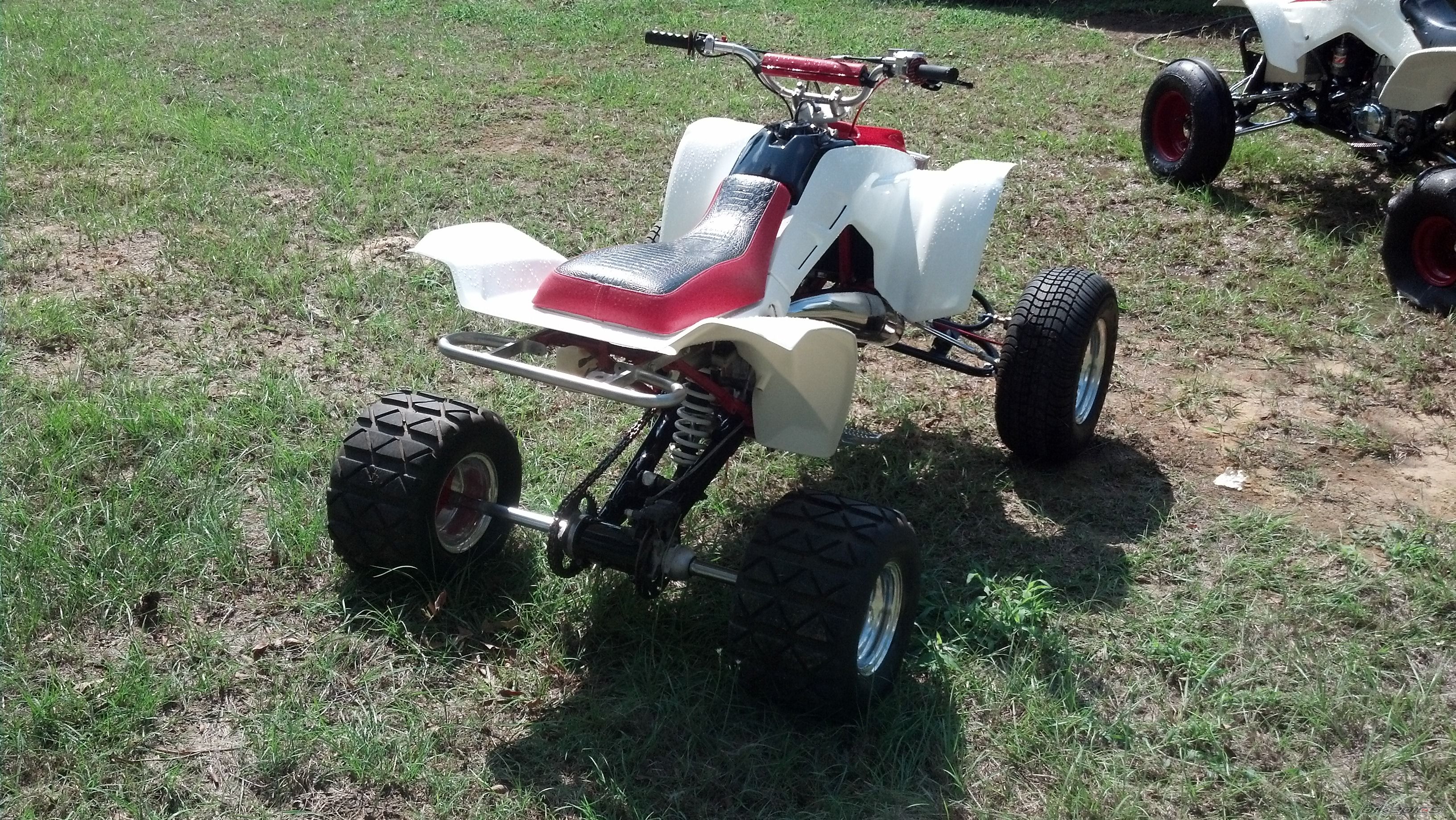 Photo 2463988