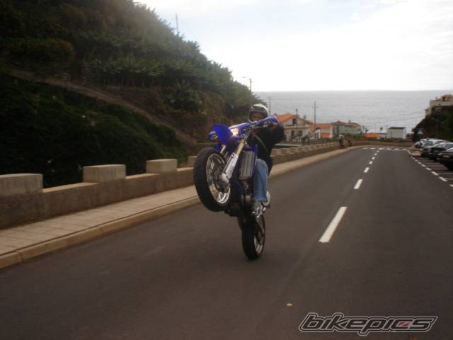 Photo 246399