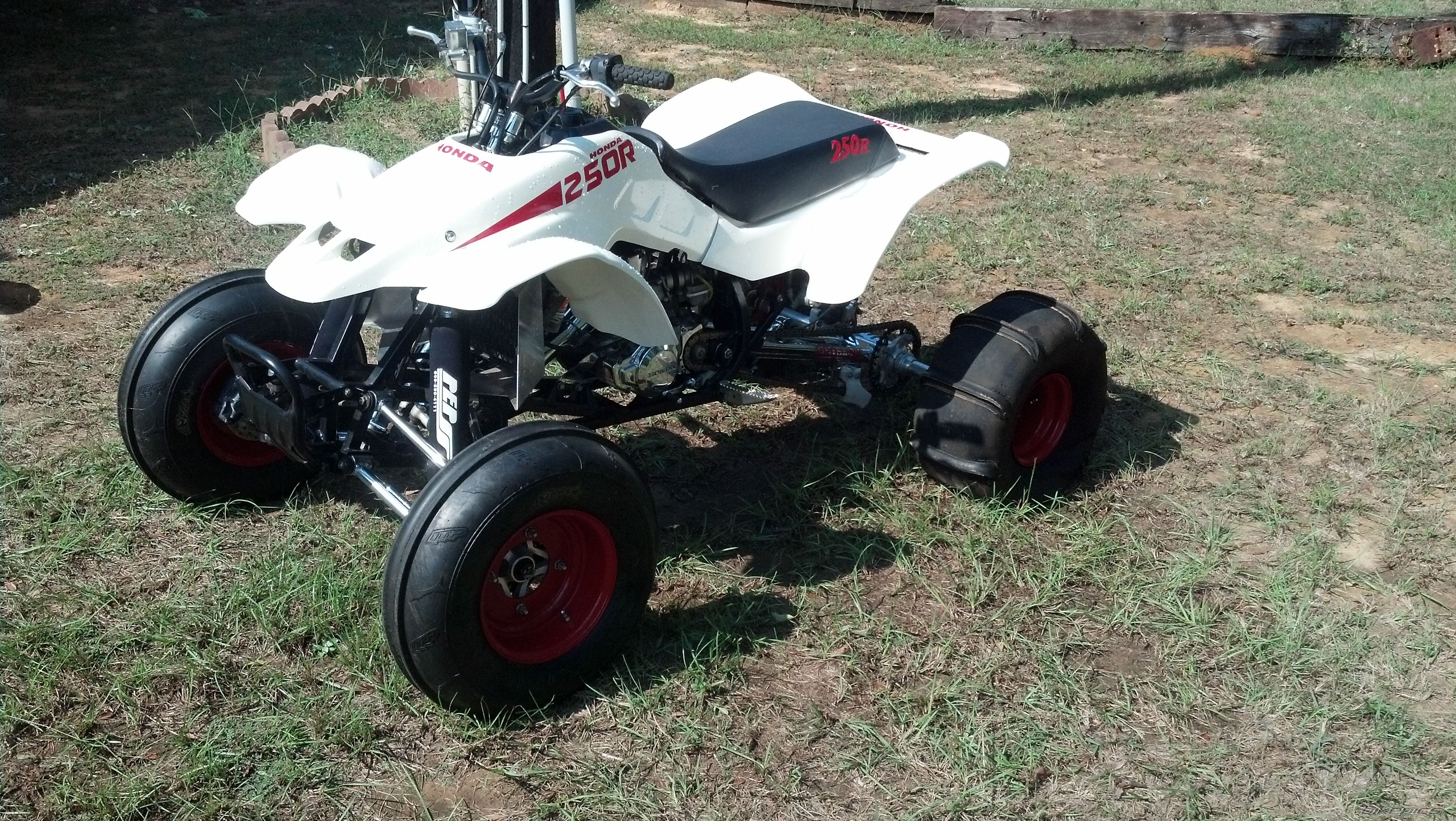 Photo 2463994