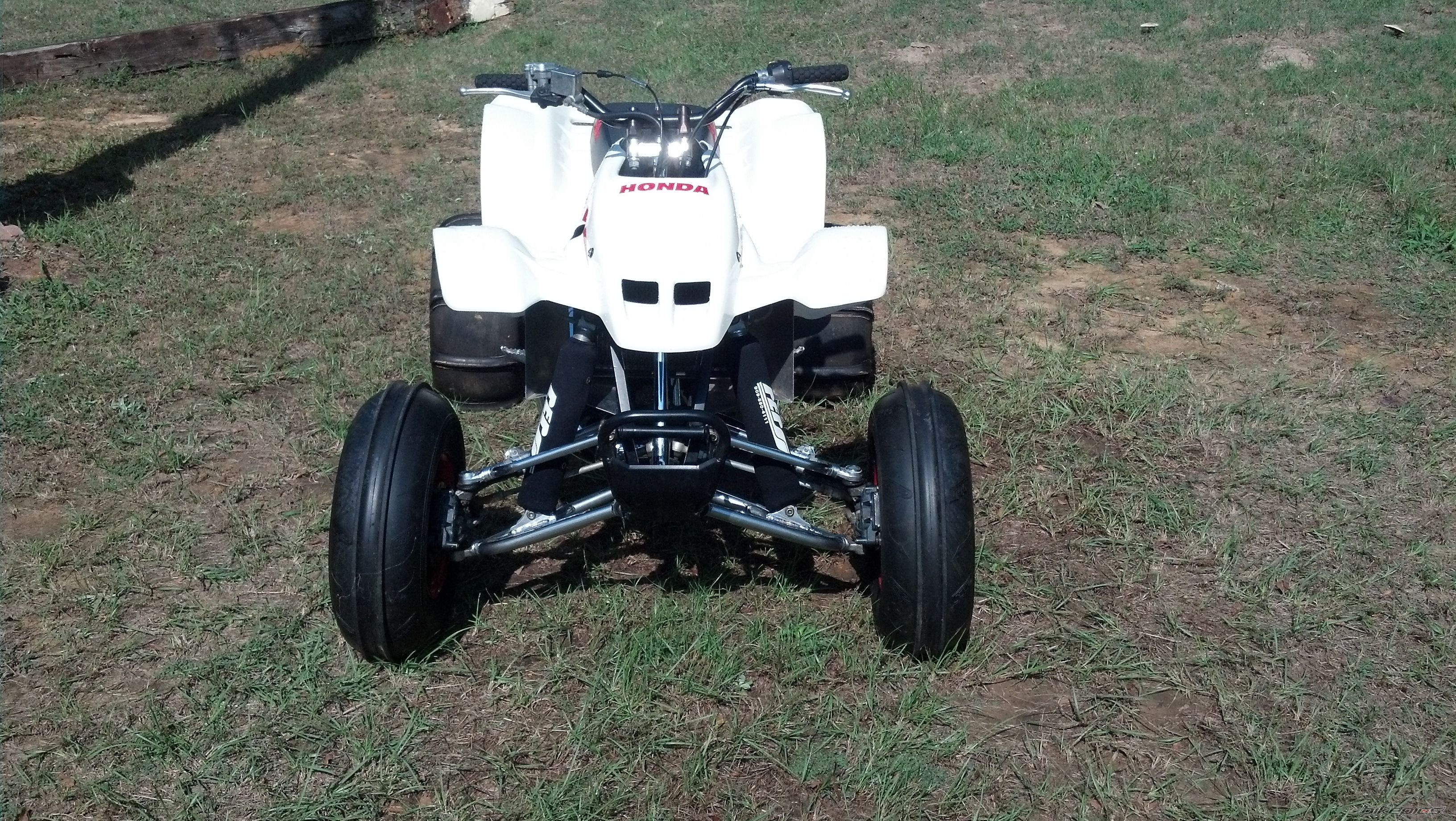 Photo 2463995
