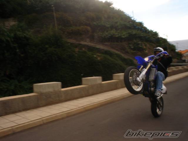 Photo 246401