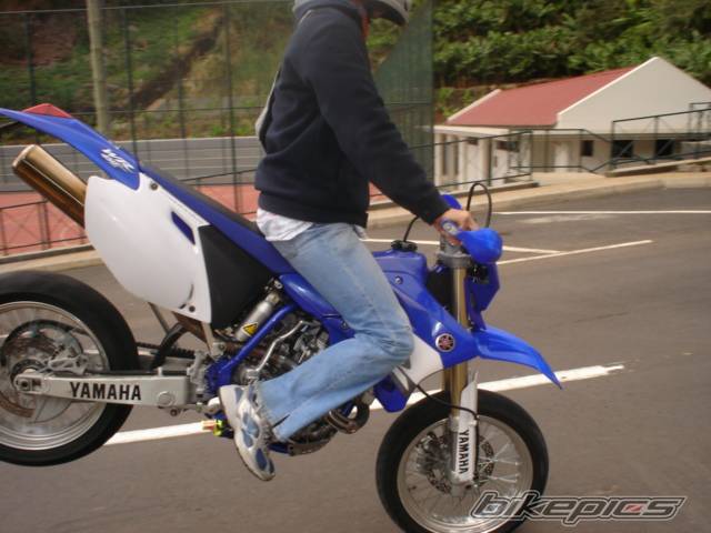 Photo 246404