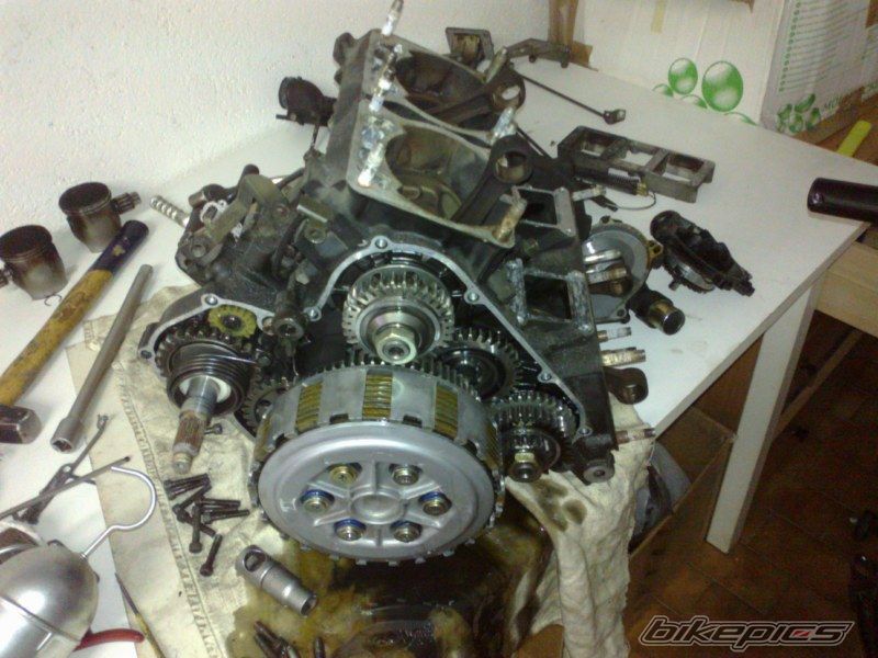 Photo 2464054