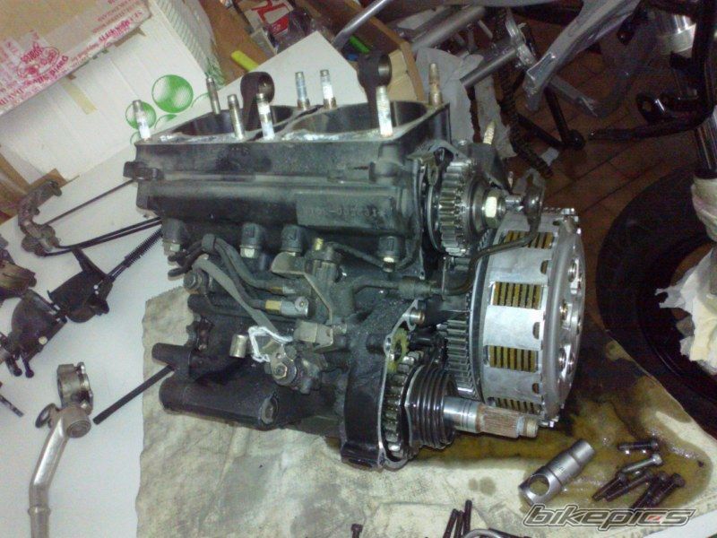 Photo 2464055
