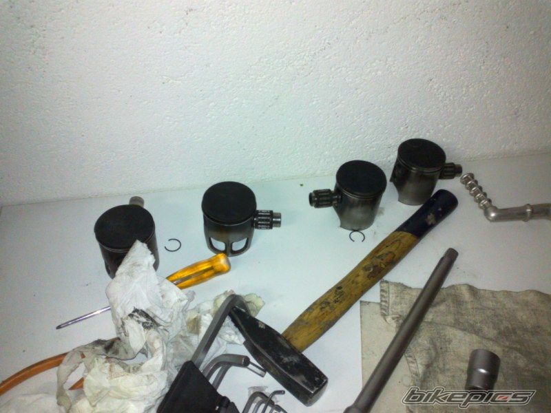 Photo 2464056