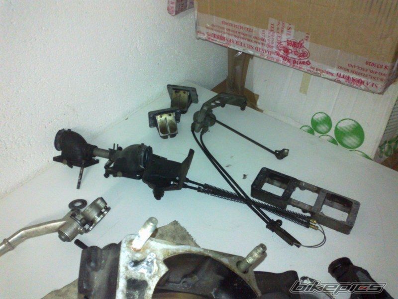 Photo 2464057