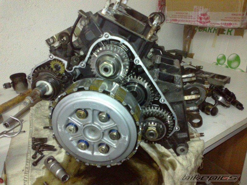 Photo 2464058