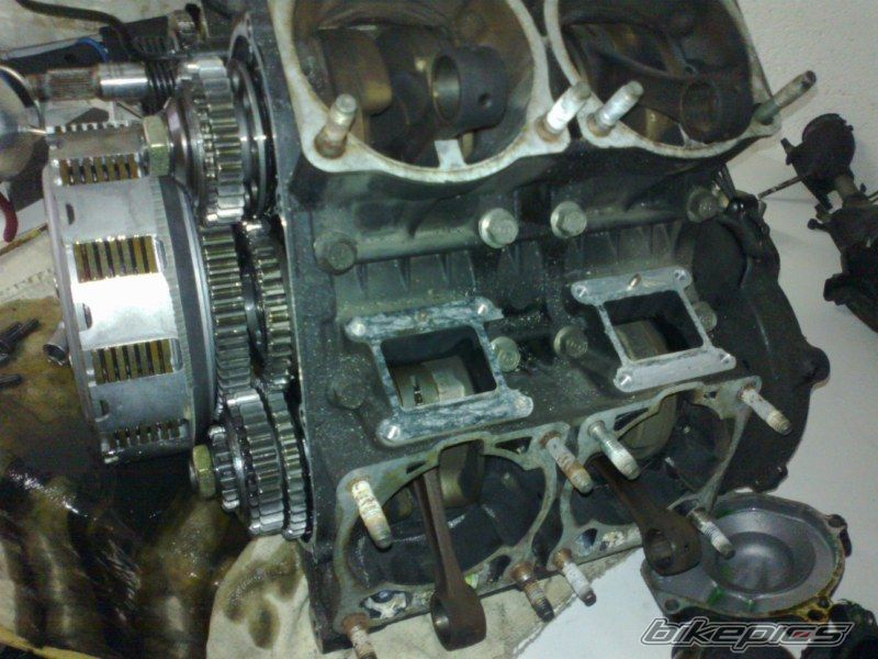 Photo 2464059