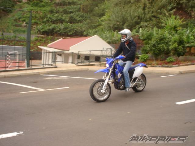 Photo 246407