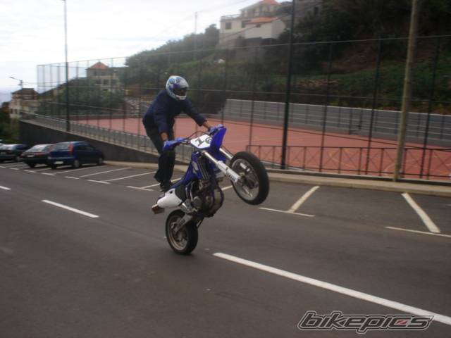 Photo 246408