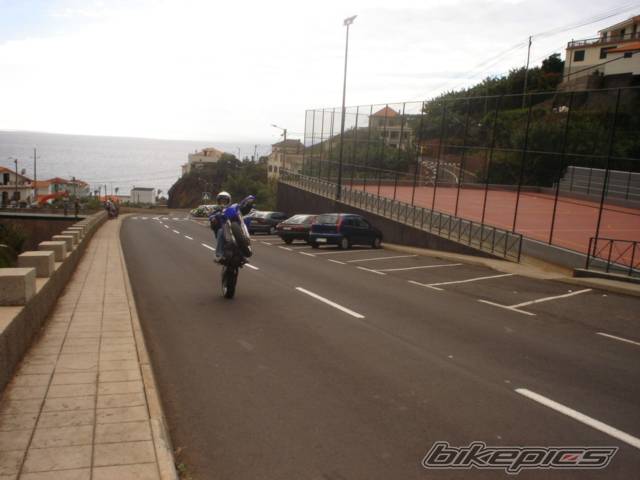 Photo 246411
