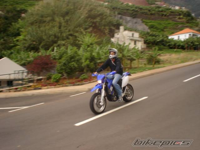 Photo 246412
