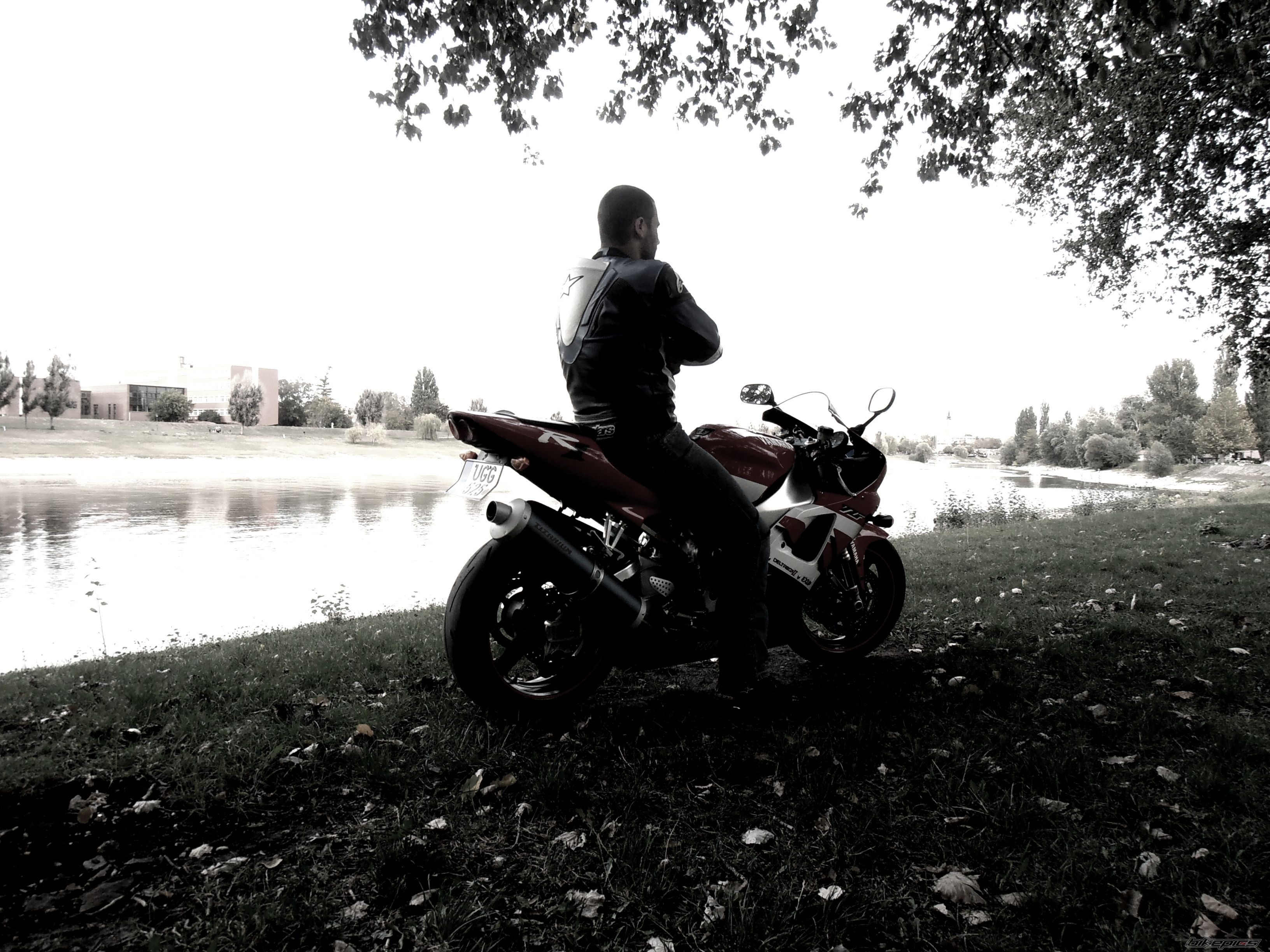 Photo 2464145