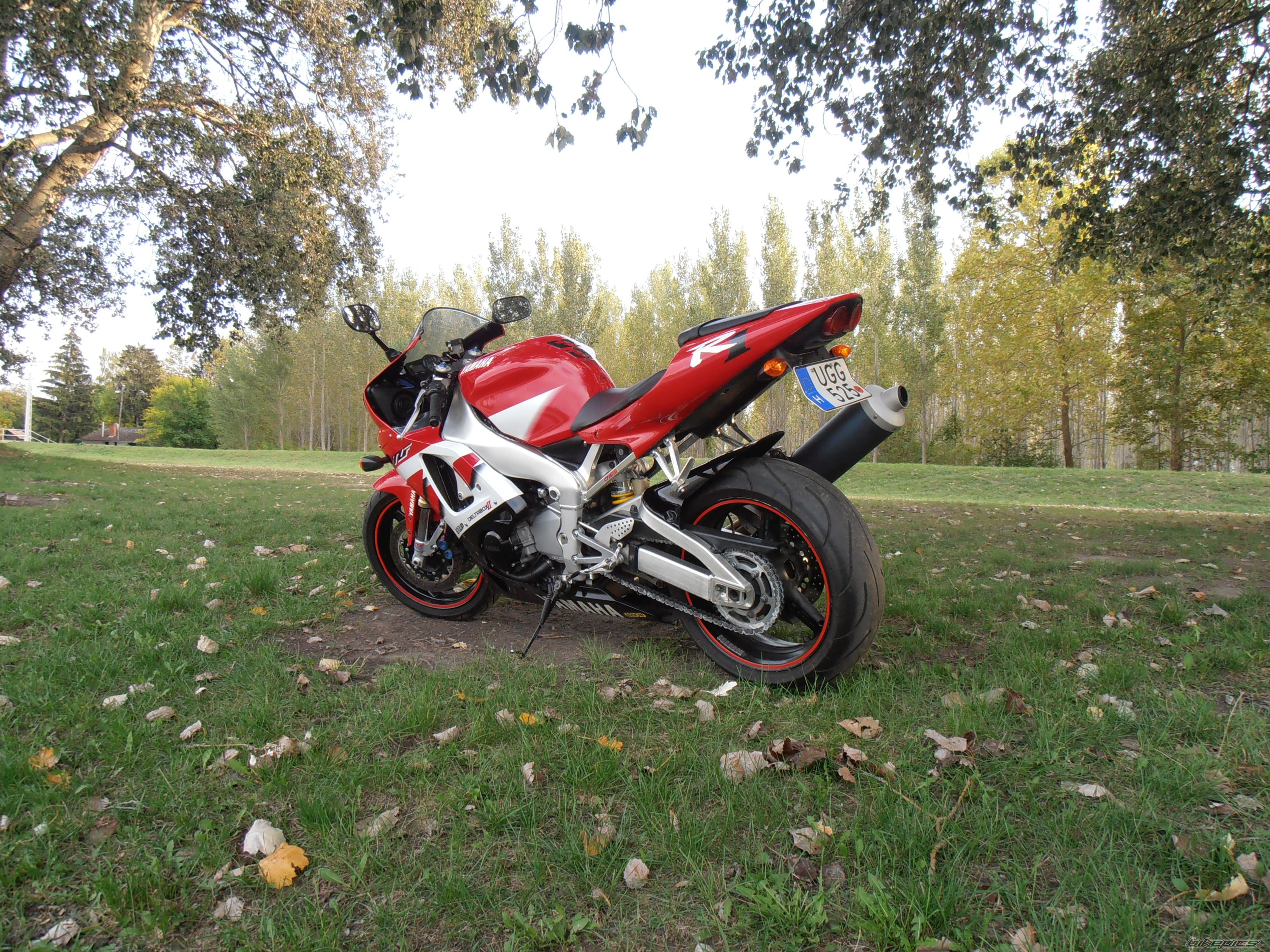 Photo 2464149