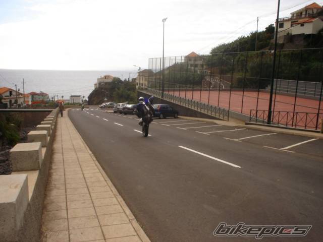 Photo 246415