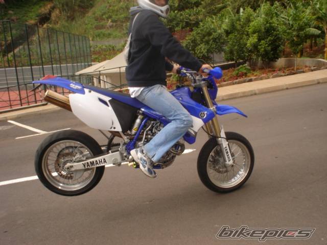 Photo 246421