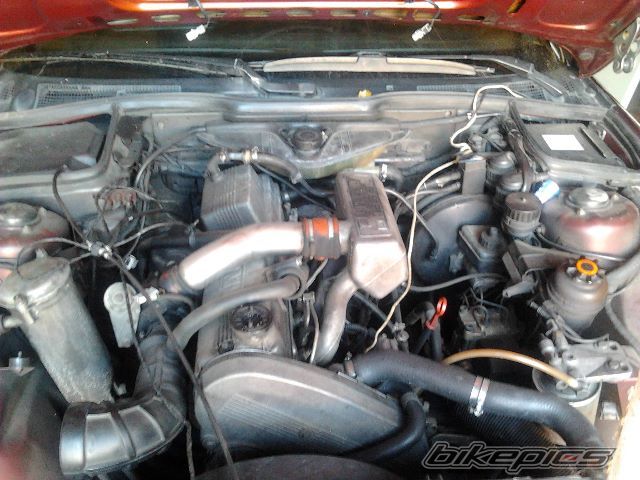 Photo 2464263