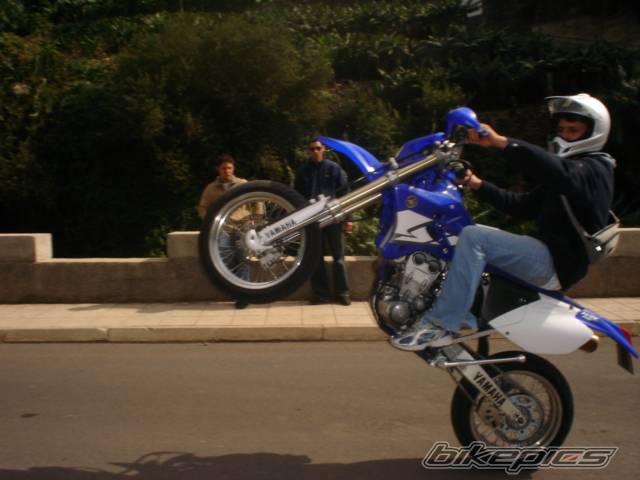 Photo 246430