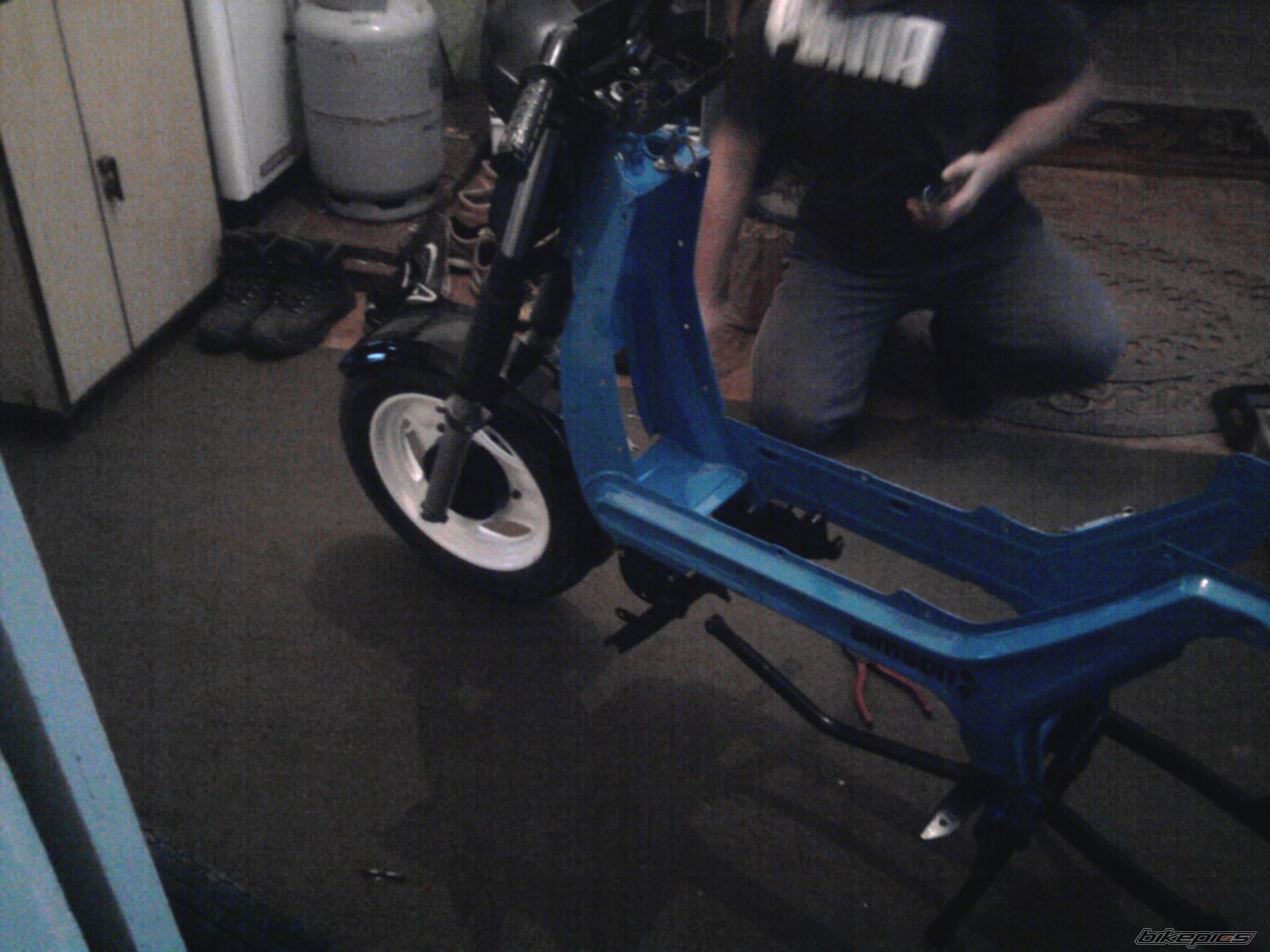 Photo 2464308