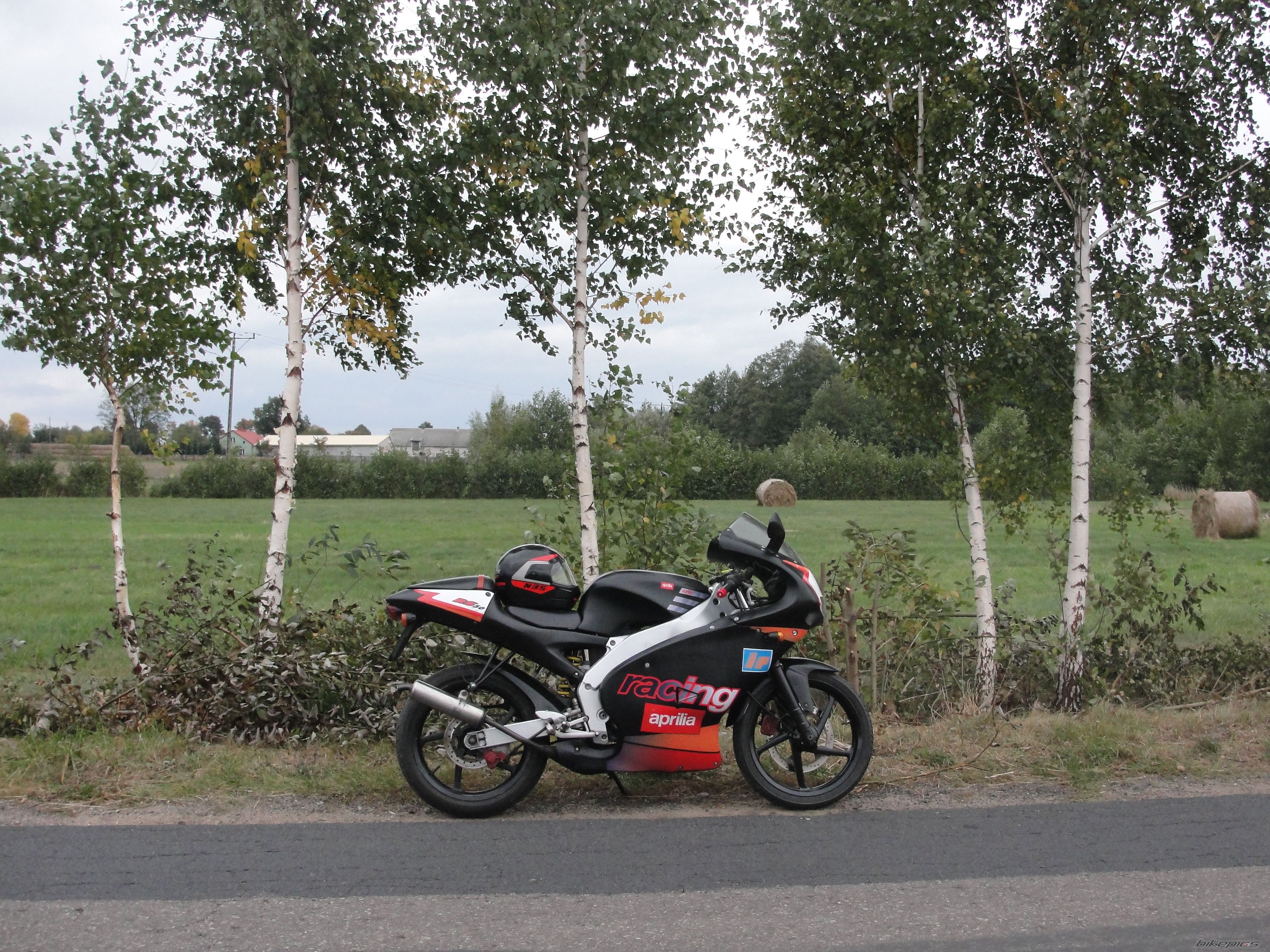 Photo 2464336