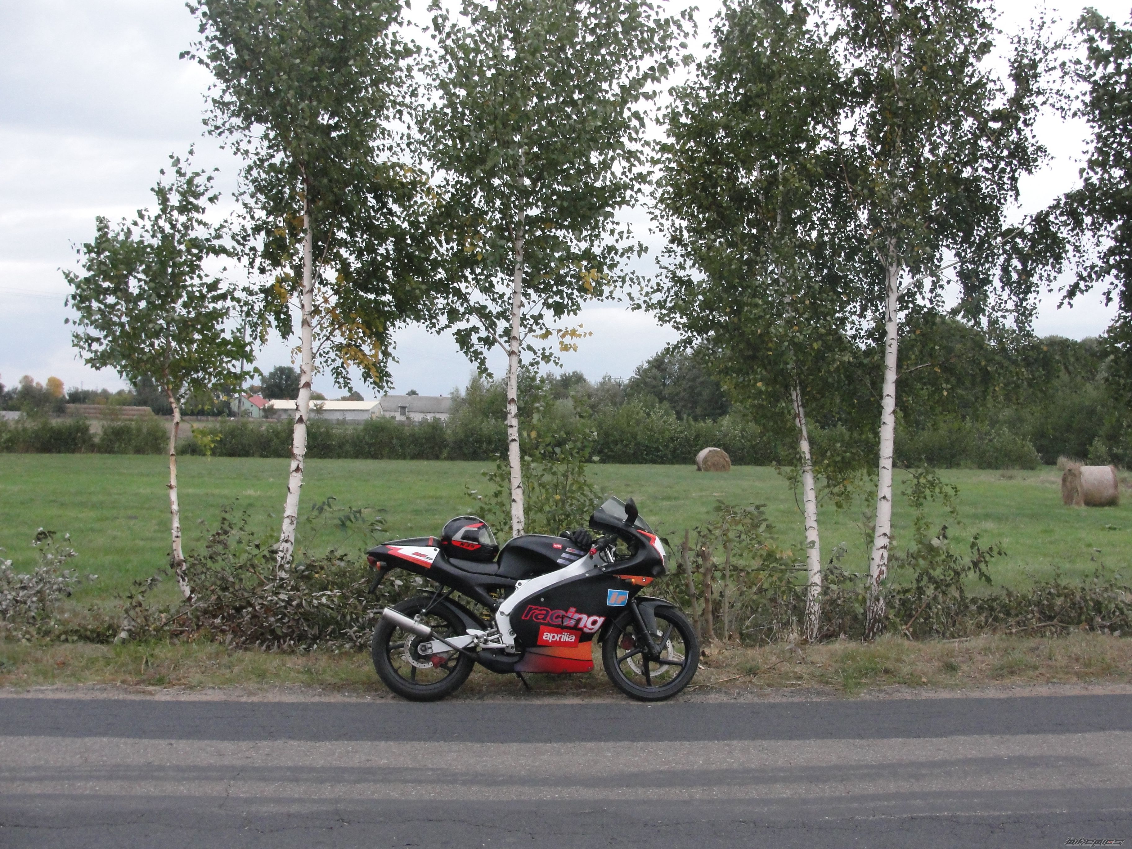 Photo 2464339