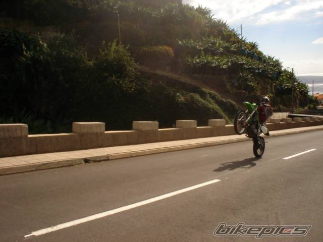Photo 246434