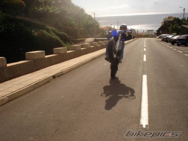 Photo 246435
