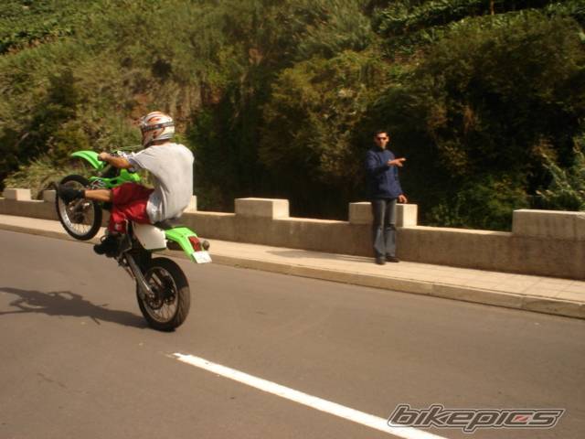 Photo 246438
