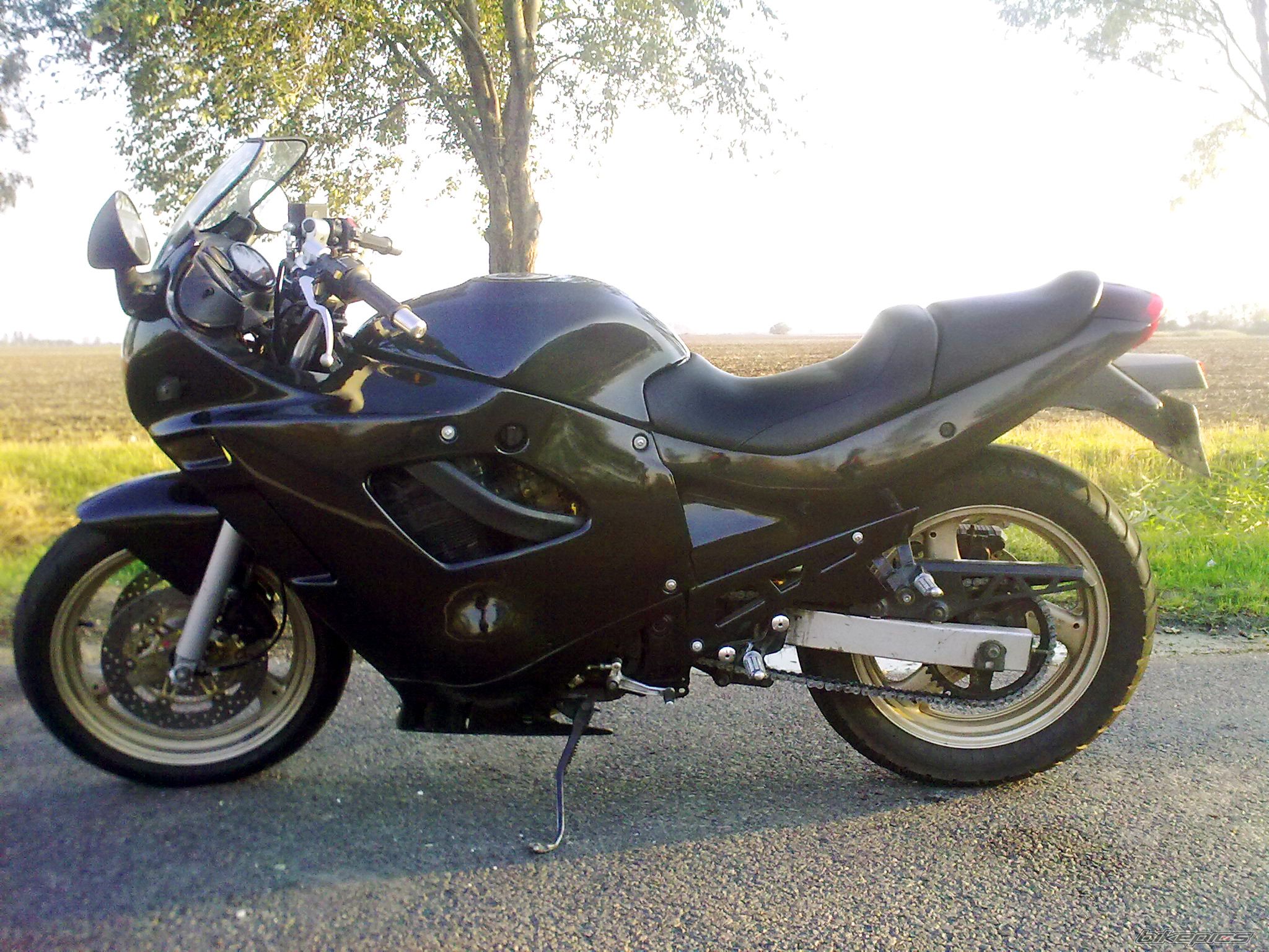 Photo 2464388