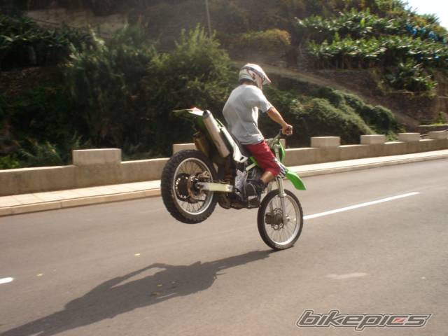 Photo 246439