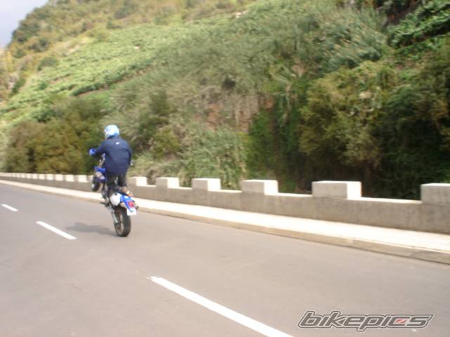 Photo 246443