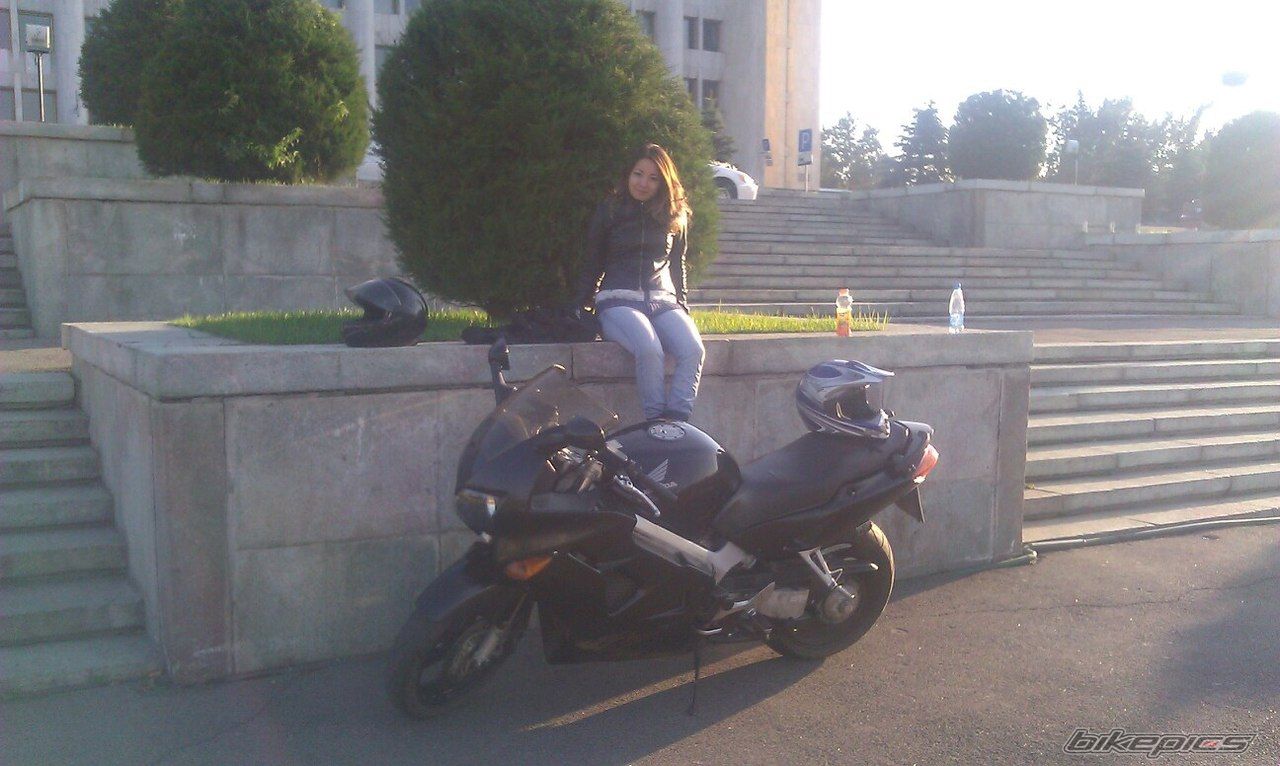 Photo 2464441